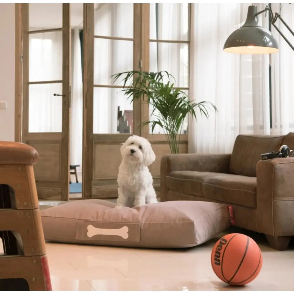 Fatboy dog bed sale